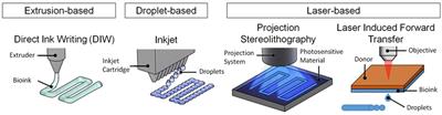 Recent Advances in Bioink Design for 3D Bioprinting of Tissues and Organs